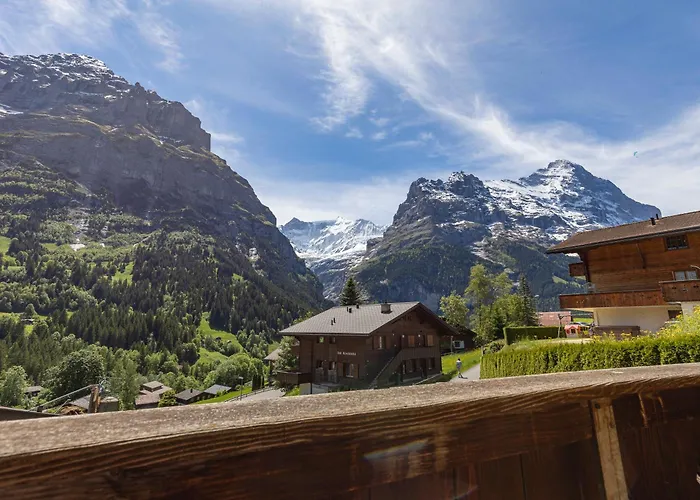 Baerefalli Eiger Panorama Apartment Grindelwald