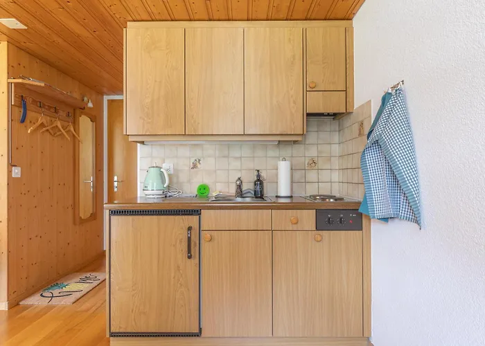 Baerefalli Eiger Panorama Grindelwald