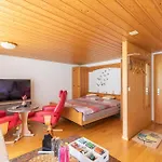 公寓 Baerefalli Eiger Panorama *